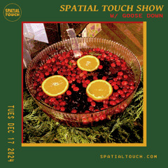 The Spatial Touch Show (w/ Goose Down) 12-17-24