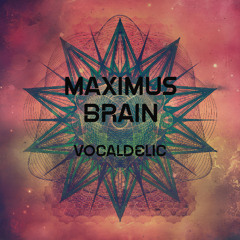 MaximusBrain - Vocaldelic // LIVE Track