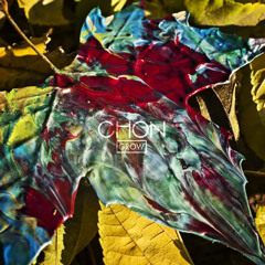 cant wait  (extended & slightly slowed) - chon v.1