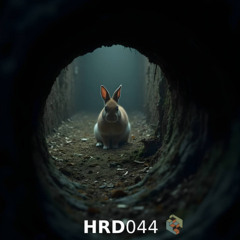 Rabbit Hole