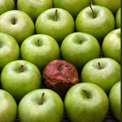 One Bad Apple