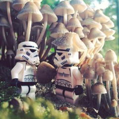 Mushroom Breaks