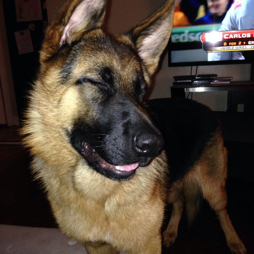 sarah demo (alex g cover)