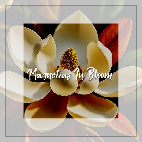 Magnolias In Bloom (Demo)