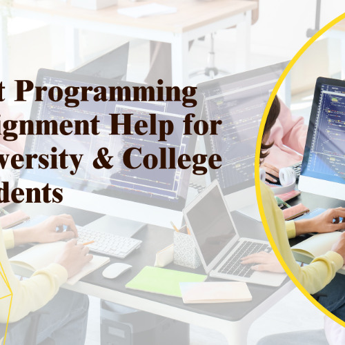 Master Coding with Expert Programming Assignment Help