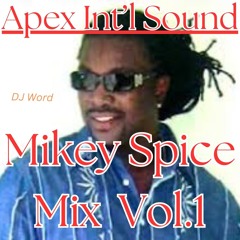 Mikey Spice Mix Vol.1