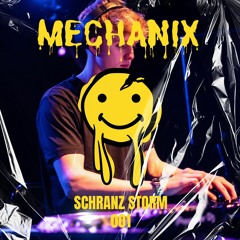 Schranz storm 001