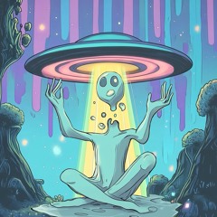 Flips & Bootlegs