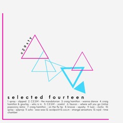 selected fourteen: c29sty