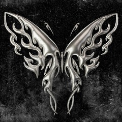 Palace - Angel Discovery 2.0
