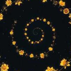 collapse me not (the-spiral-child)