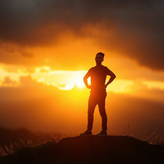 See the Light