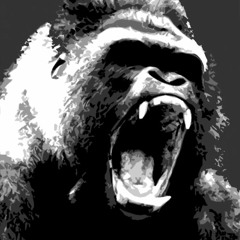 Wytestarr - Gorilla (Prod. Wisvoo x ZaySkillz) [DREAMTHUGEXCLUSIVE]