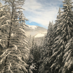 Mama You´ve Been on my Mind