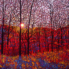 Dj Afterdyl - emotional trip