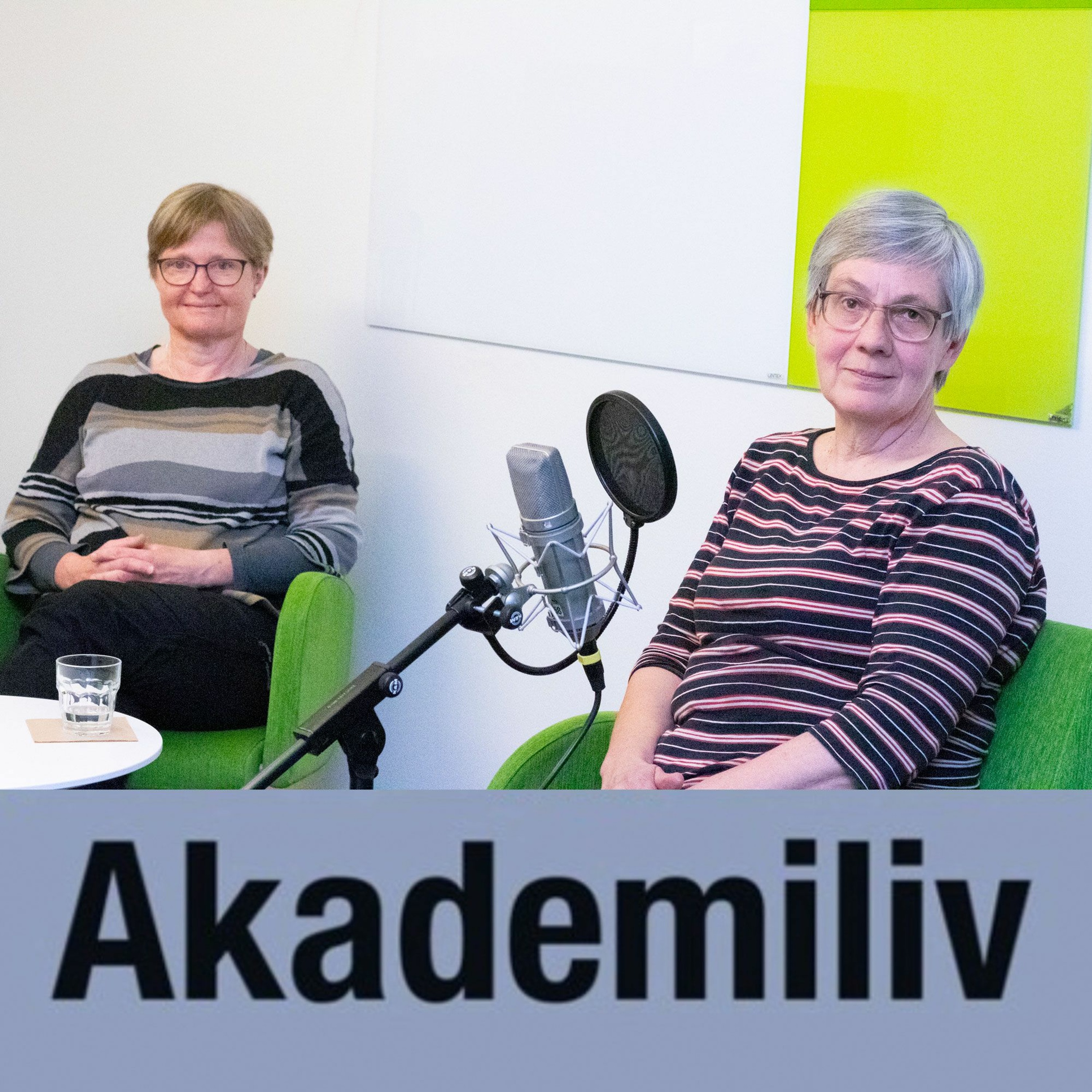 Akademiliv