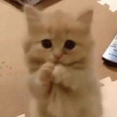 Папин Олимпос - Если ты не любишь