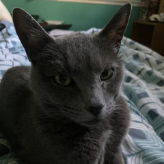 something for me and the bois to practice