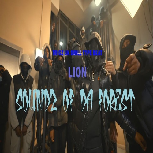 [FREE]  TRIGZ Dark Piano UK Drill Type Beat 2025-LION 144 bpm E min (Prod. by Soundz Of Da Forest)