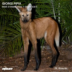 Giorgi Pipia - 21 Mars 2023