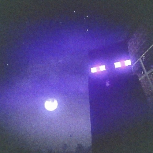 endermen in the rain