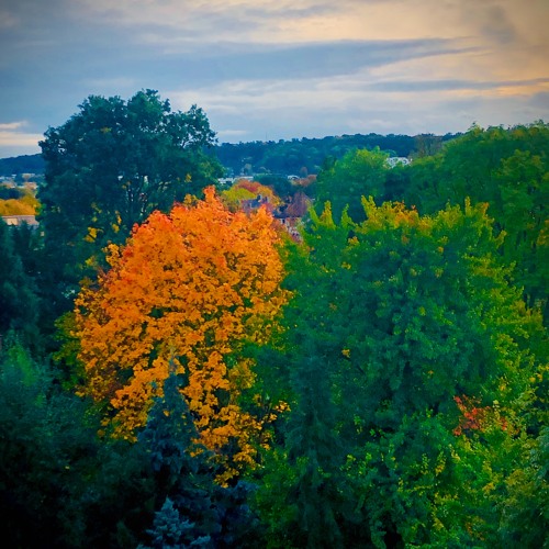 : : : steloo# 🍂 autumn walk '23🍁