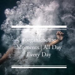 #organichouse Maldives 2022 January Moments | All Day Every Day