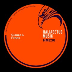 Gianco L - Test (Original Mix)