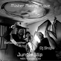 Mister Master Love x Snip x Barlos Bro - Jungle VIP ( NoDi Ataraxia Rework).mp3