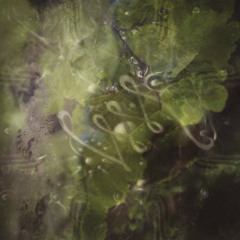 Premiere: RBI - Liquid Shadow [CD001]