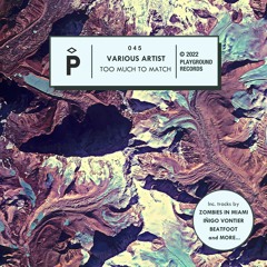 PREMIERE - Orchid - Geomantika (Playground Records)