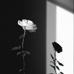Echoes of the Roses (Эхо Роз)