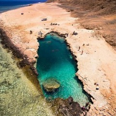 سلبيه background size cover (Free Download)
