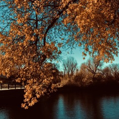 replay (prod. lvcien)