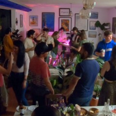 Mexico City Plant Party | French House and Electronic Chill Set