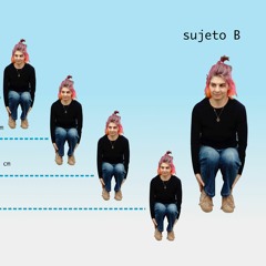 Ensayo en objetos para Flora Davis (Poema)