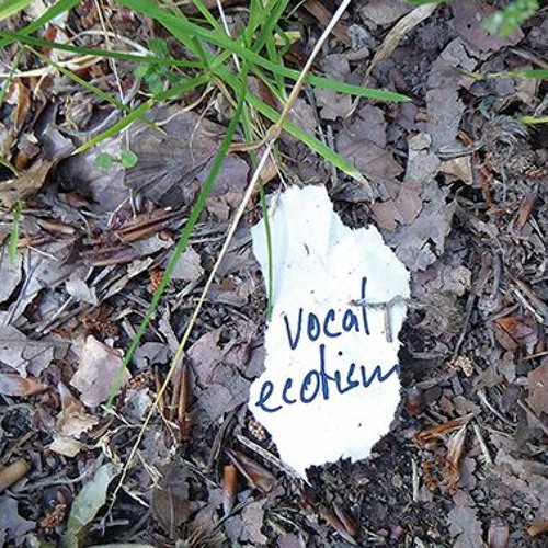 Interview  S. Bhagwati 1.7.24