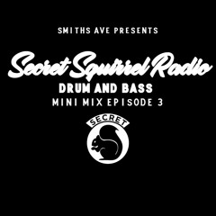 Secret Squirrel Radio DNB Mini Mix Episode 3