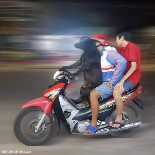 Cưỡi mây lên Trời