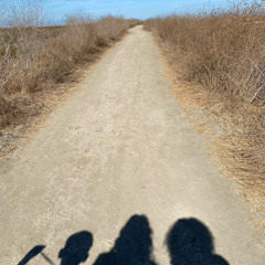 THE WAY
