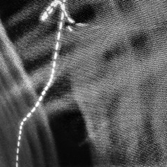 THE RABBIT HOLE [01]