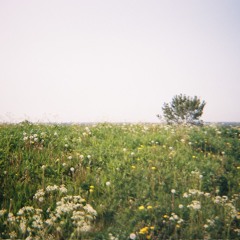 Kamera Kaulas