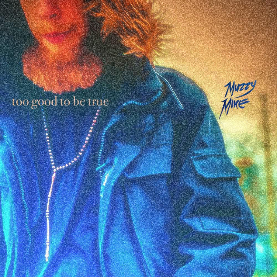 Stream Too Good To Be True by Muzzy Mike | Listen online for free