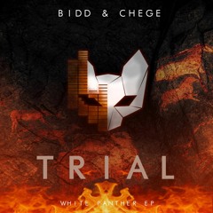 BIDD & Chege - Trial (Original Mix)