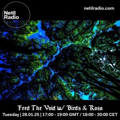 Feed The Void w/ Birds & Rosa - 28th January 2025