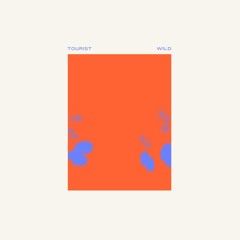 Tourist - Bunny (shy edit)