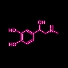 Adrenal