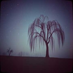 Eternal Embrace Peluk Abadi