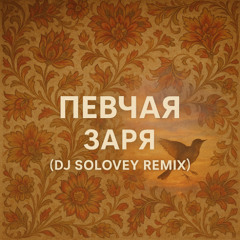 ПЕВЧАЯ - Ты Заря (DJ SOLOVEY REMIX)