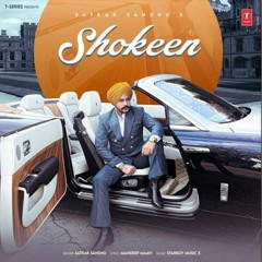 Shokeen | Satkar Sandhu